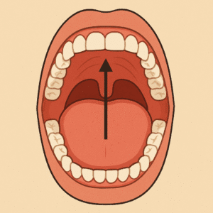 always touch your tongue to your upper mouth it enhances your jawline. 
